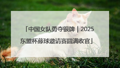 中国女队勇夺银牌｜2025东盟杯藤球邀请赛圆满收官