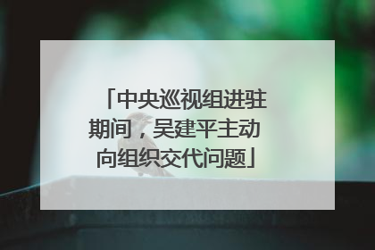 中央巡视组进驻期间，吴建平主动向组织交代问题