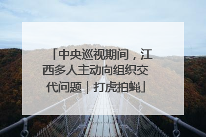 中央巡视期间，江西多人主动向组织交代问题｜打虎拍蝇