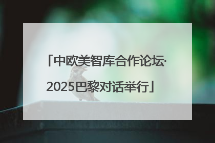 中欧美智库合作论坛·2025巴黎对话举行
