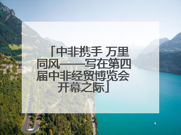 中非携手 万里同风——写在第四届中非经贸博览会开幕之际