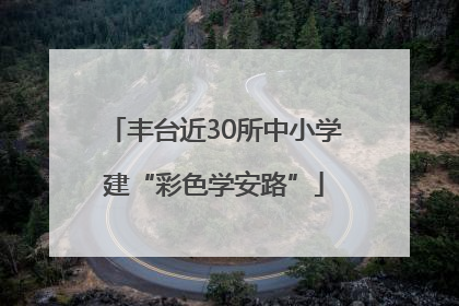 丰台近30所中小学建“彩色学安路”