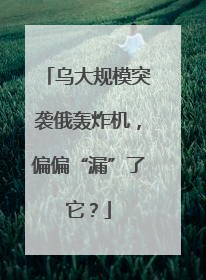 乌大规模突袭俄轰炸机，偏偏“漏”了它？