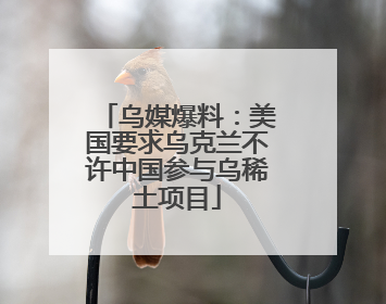 乌媒爆料：美国要求乌克兰不许中国参与乌稀土项目