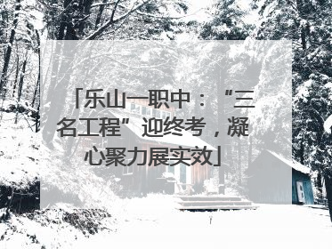 乐山一职中：“三名工程”迎终考，凝心聚力展实效