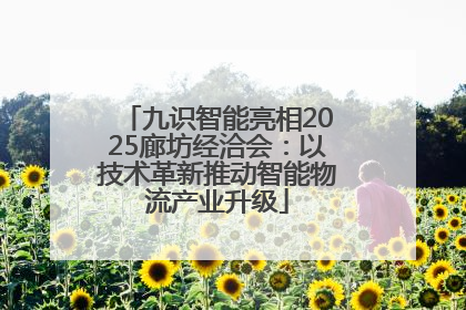 九识智能亮相2025廊坊经洽会：以技术革新推动智能物流产业升级