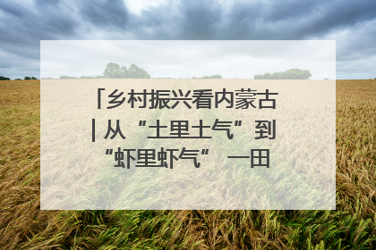 乡村振兴看内蒙古｜从“土里土气”到“虾里虾气” 一田双收模式火出圈
