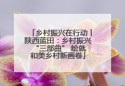乡村振兴在行动丨陕西蓝田：乡村振兴 “三部曲” 绘就和美乡村新画卷