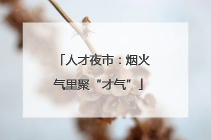 人才夜市：烟火气里聚“才气”