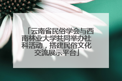 云南省民俗学会与西南林业大学共同举办社科活动，搭建民俗文化交流展示平台
