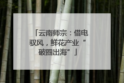 云南师宗：借电驭风，鲜花产业“破圈出海”