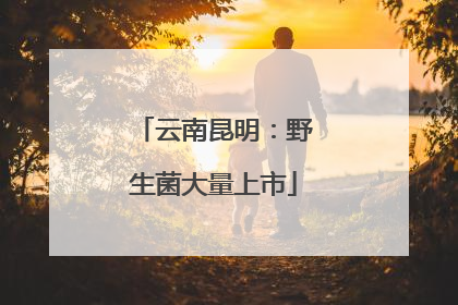 云南昆明：野生菌大量上市