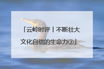 云岭时评丨不断壮大文化自信的生命力②