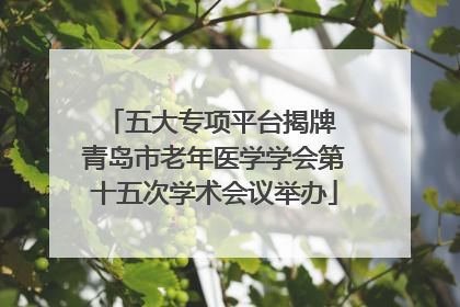 五大专项平台揭牌 青岛市老年医学学会第十五次学术会议举办