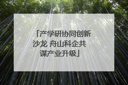 产学研协同创新沙龙 舟山科企共谋产业升级