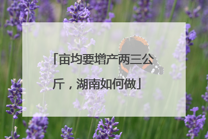 亩均要增产两三公斤，湖南如何做