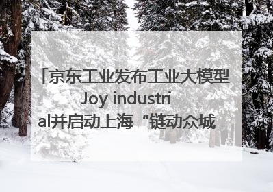京东工业发布工业大模型Joy industrial并启动上海“链动众城 万亿降本”计划