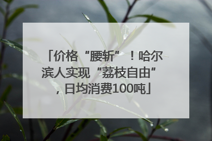 价格“腰斩”！哈尔滨人实现“荔枝自由”，日均消费100吨