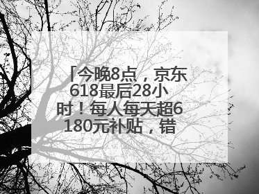 今晚8点，京东618最后28小时！每人每天超6180元补贴，错过等明年！