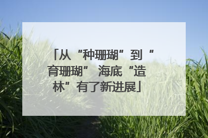 从“种珊瑚”到“育珊瑚” 海底“造林”有了新进展