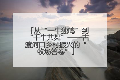 从“一牛独鸣”到“千牛共舞”——古渡河口乡村振兴的“牧场答卷”