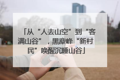 从“人去山空”到“客满山谷”，黑麋峰“新村民”唤醒沉睡山谷
