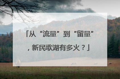 从“流量”到“留量”，新民歌湖有多火？