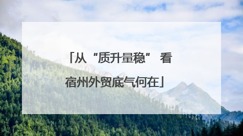 从“质升量稳” 看宿州外贸底气何在