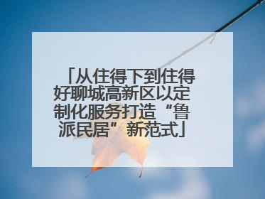 从住得下到住得好聊城高新区以定制化服务打造“鲁派民居”新范式
