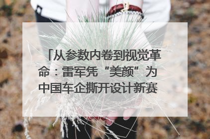 从参数内卷到视觉革命：雷军凭“美颜”为中国车企撕开设计新赛道｜封面车评