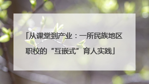 从课堂到产业：一所民族地区职校的“互嵌式”育人实践