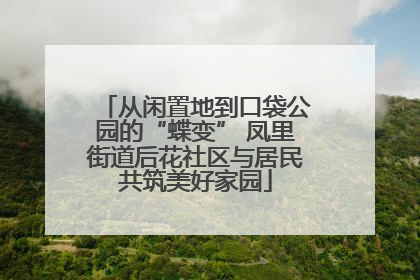 从闲置地到口袋公园的“蝶变” 凤里街道后花社区与居民共筑美好家园