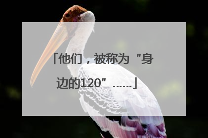 他们，被称为“身边的120”……