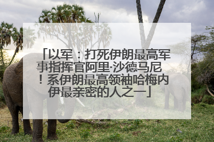 以军：打死伊朗最高军事指挥官阿里·沙德马尼！系伊朗最高领袖哈梅内伊最亲密的人之一