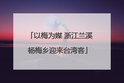 以梅为媒 浙江兰溪杨梅乡迎来台湾客