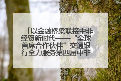 以金融桥梁联接中非经贸新时代——“全球首席合作伙伴”交通银行全力服务第四届中非经贸博览会