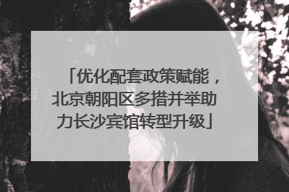 优化配套政策赋能，北京朝阳区多措并举助力长沙宾馆转型升级