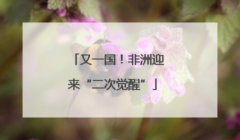 又一国！非洲迎来“二次觉醒”