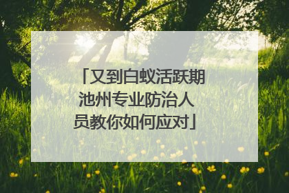 又到白蚁活跃期 池州专业防治人员教你如何应对