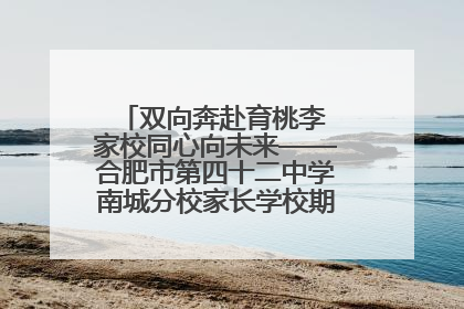 双向奔赴育桃李 家校同心向未来——合肥市第四十二中学南城分校家长学校期末总结会圆满召开