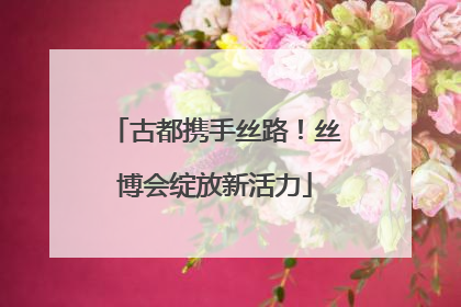 古都携手丝路！丝博会绽放新活力