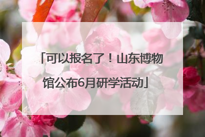 可以报名了！山东博物馆公布6月研学活动
