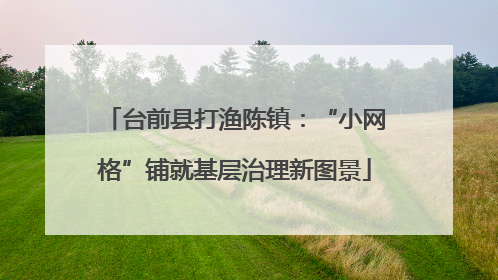 台前县打渔陈镇：“小网格”铺就基层治理新图景