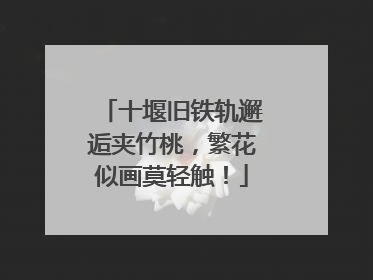 十堰旧铁轨邂逅夹竹桃，繁花似画莫轻触！