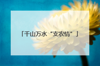 千山万水“支农情”