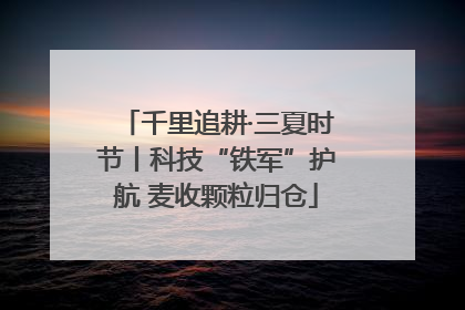 千里追耕·三夏时节丨科技“铁军”护航 麦收颗粒归仓