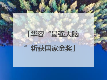 华容“最强大脑”斩获国家金奖