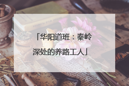 华阳道班：秦岭深处的养路工人
