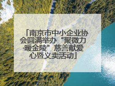 南京市中小企业协会圆满举办“聚微力·暖金陵”慈善献爱心暨义卖活动