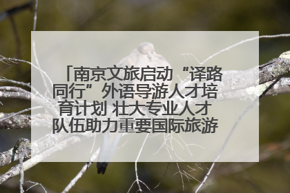 南京文旅启动“译路同行”外语导游人才培育计划 壮大专业人才队伍助力重要国际旅游目的地建设
